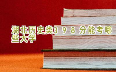 湖北历史类398分能考哪些大学