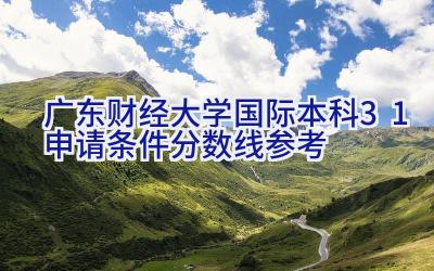 2024广东财经大学国际本科3+1申请条件（分数线参考）