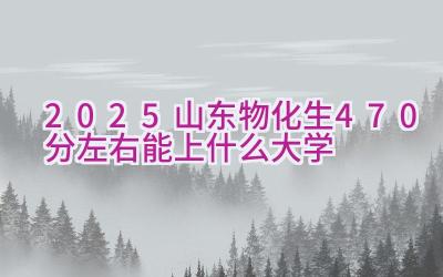 2025山东物化生470分左右能上什么大学