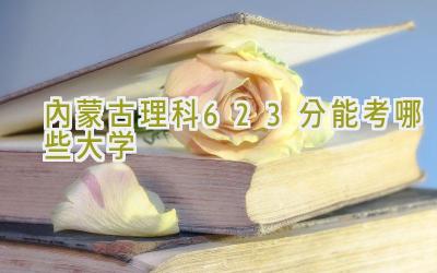 内蒙古理科623分能考哪些大学