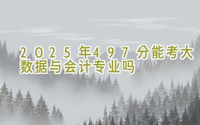 2025年497分能考大数据与会计专业吗