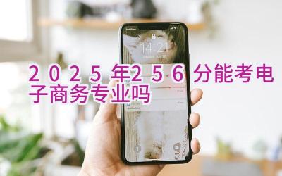 2025年256分能考电子商务专业吗