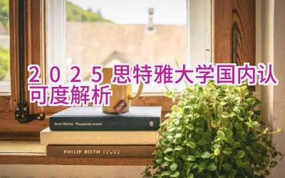 2025思特雅大学国内认可度解析