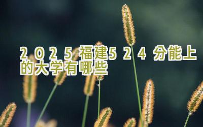 2025福建524分能上的大学有哪些