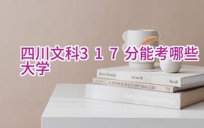 四川文科317分能考哪些大学