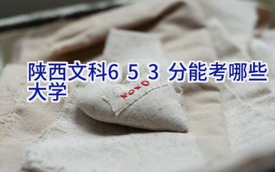 陕西文科653分能考哪些大学