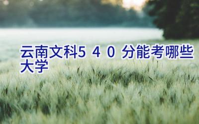 云南文科540分能考哪些大学