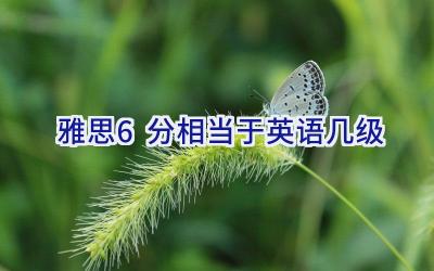 雅思6分相当于英语几级