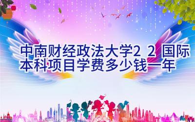 2024中南财经政法大学2+2国际本科项目学费多少钱一年