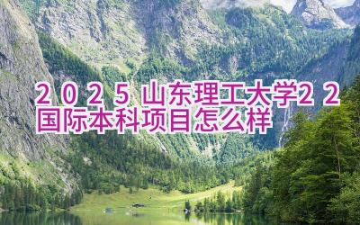 2025山东理工大学2+2国际本科项目怎么样