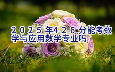 2025年426分能考数学与应用数学专业吗