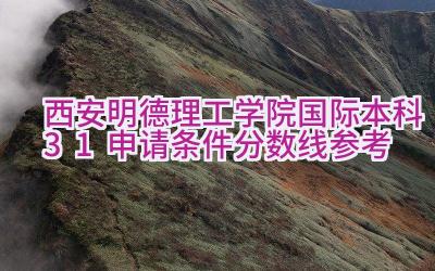 2024西安明德理工学院国际本科3+1申请条件（分数线参考）