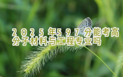 2025年597分能考高分子材料与工程专业吗