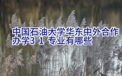 2024中国石油大学华东中外合作办学3+1专业有哪些