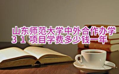 2024山东师范大学中外合作办学3+1项目学费多少钱一年