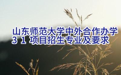 2024山东师范大学中外合作办学3+1项目招生专业及要求