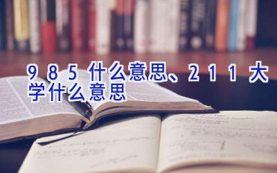 985什么意思、211大学什么意思