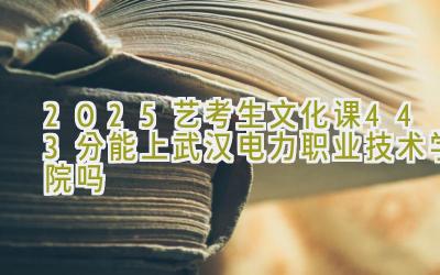 2025艺考生文化课443分能上武汉电力职业技术学院吗