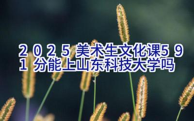 2025美术生文化课591分能上山东科技大学吗