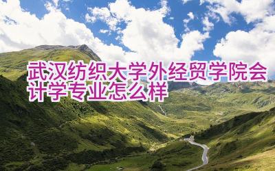 武汉纺织大学外经贸学院会计学专业怎么样