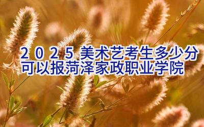 2025美术艺考生多少分可以报菏泽家政职业学院